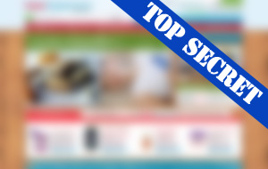 Project for major E-commerce retailer